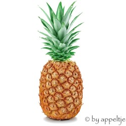 Ananas (full color sweet)