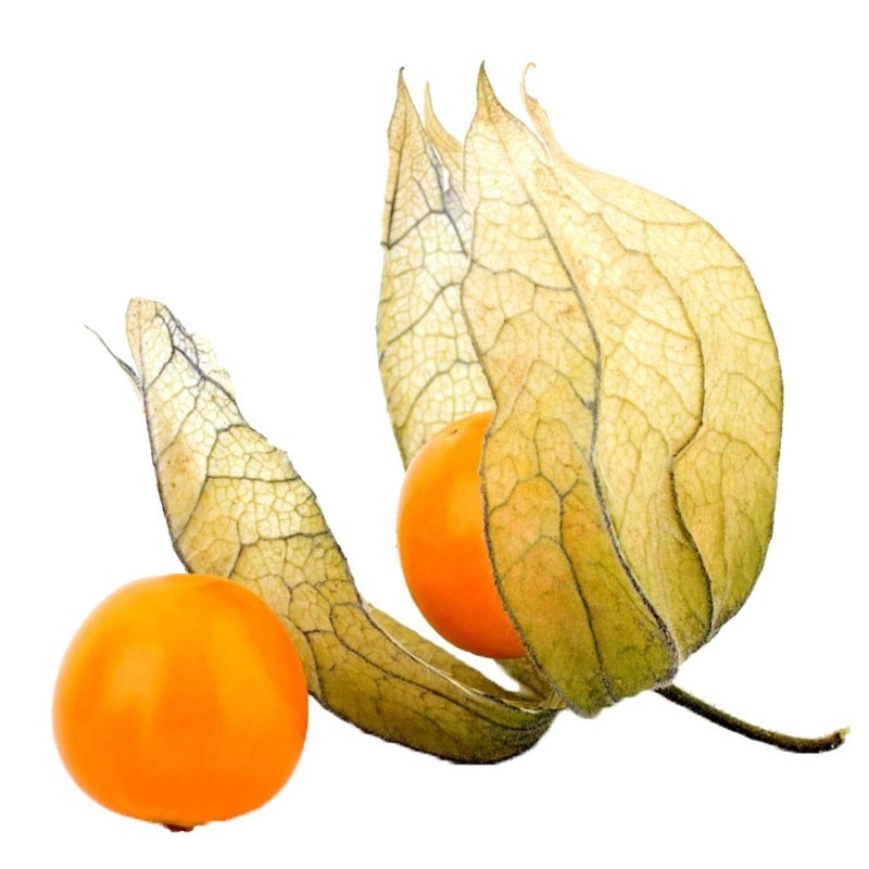 Kaapse kruisbes (Physalis)