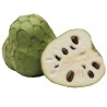 Cherimoya