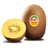 Zespri Sungold (Kiwi Gold)