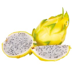 Pitahaya geel (Drakenfruit)