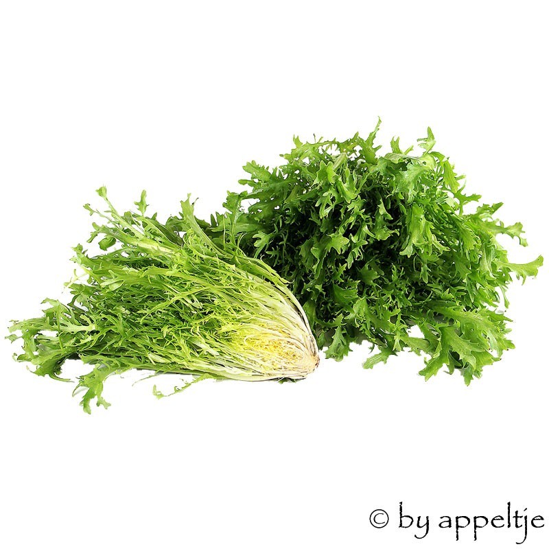 Frisée