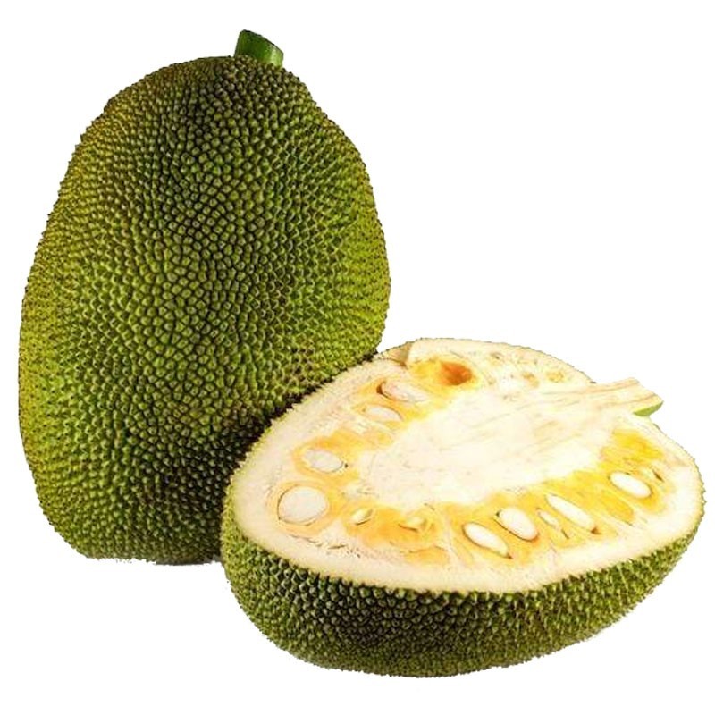 Jackfruit