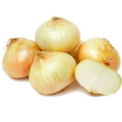 Zoete Ui (Sweet Onion)