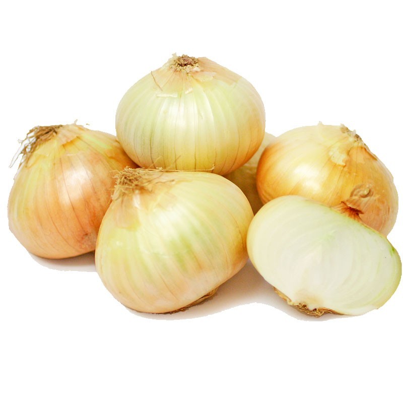 Zoete Ui (Sweet Onion)