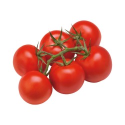 Tros Tomaten