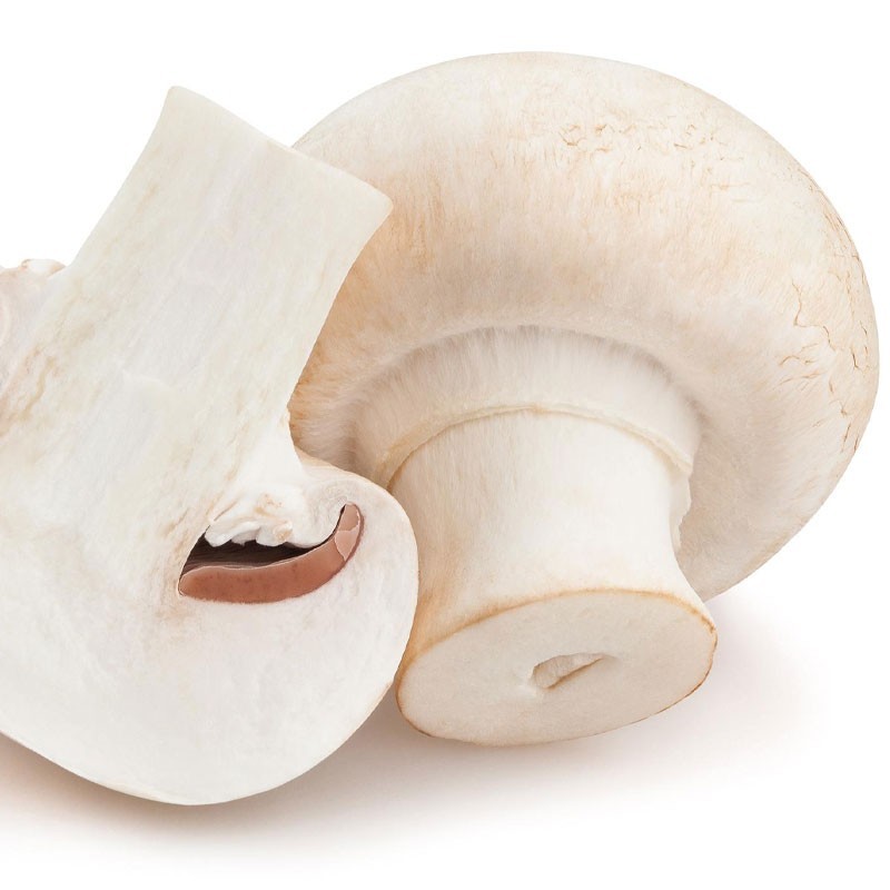 Reuze Champignons