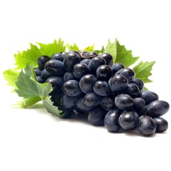 Black Seedless druiven